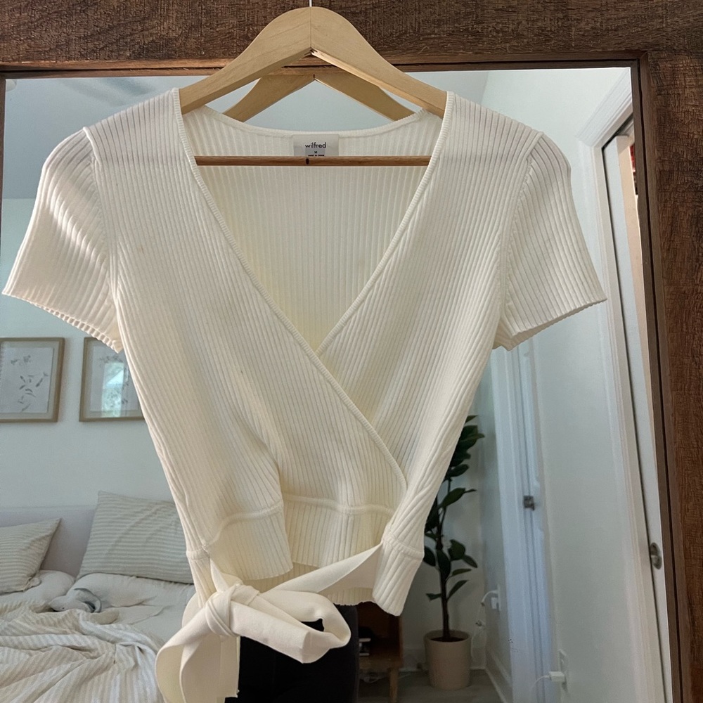 Aritzia top